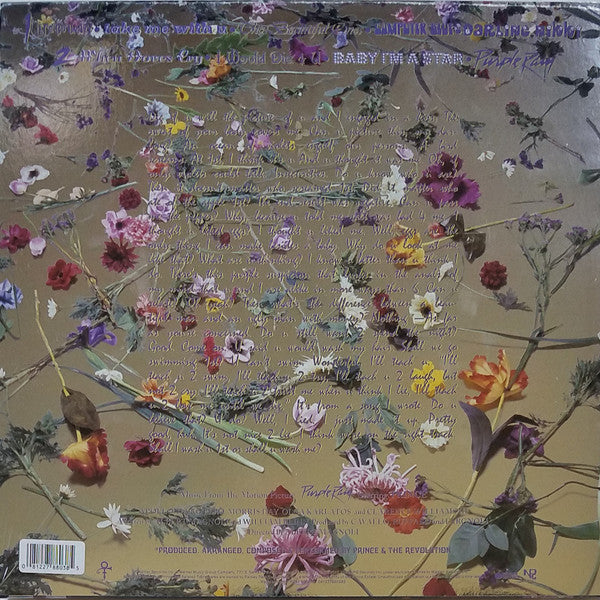 Prince And The Revolution – Purple Rain 2017 Remaster